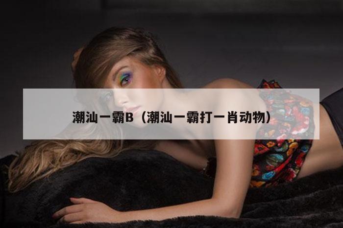 潮汕一霸B（潮汕一霸打一肖动物）