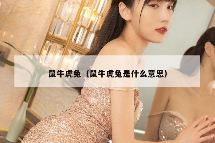 鼠牛虎兔（鼠牛虎兔是什么意思）