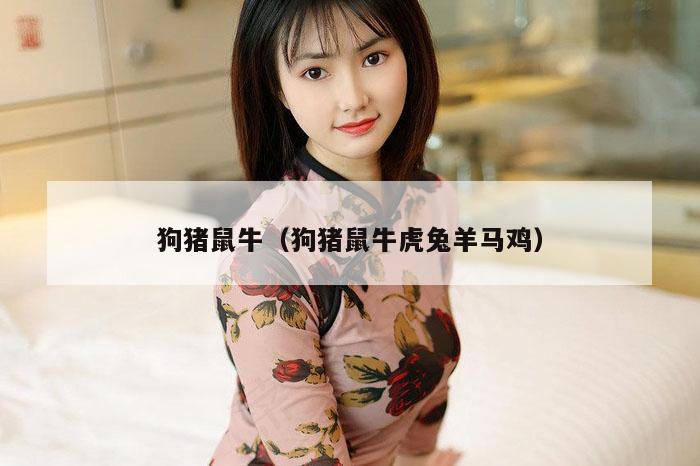 狗猪鼠牛（狗猪鼠牛虎兔羊马鸡）