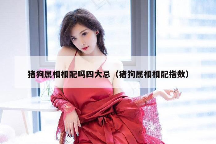 猪狗属相相配吗四大忌（猪狗属相相配指数）