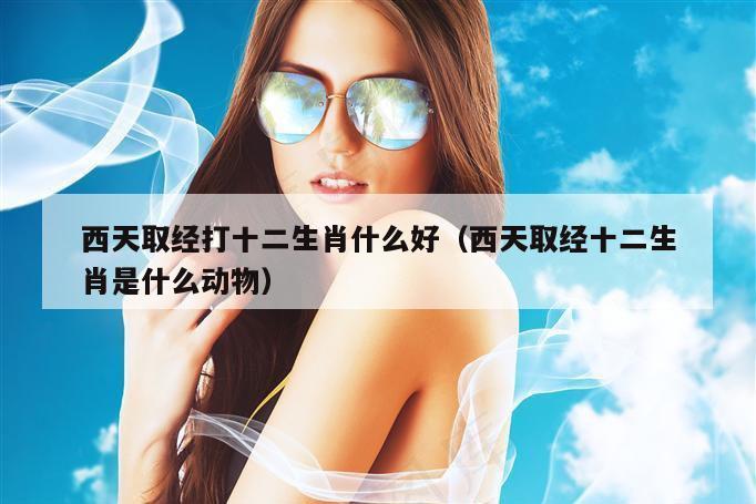 西天取经打十二生肖什么好（西天取经十二生肖是什么动物）